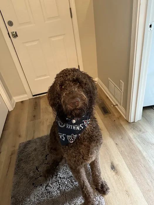 Westside Veterinary Service, LLP Picture 1