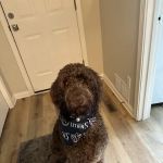 Westside Veterinary Service, LLP