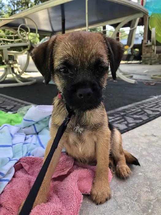 Westside Veterinary Service, LLP Picture 6