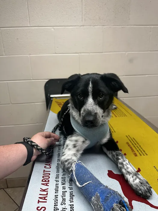 Westside Veterinary Service, LLP Picture 5