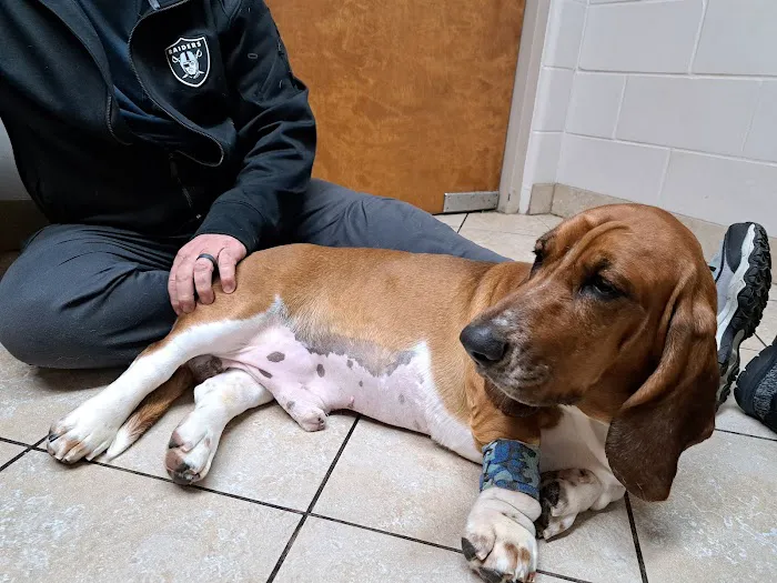 Westside Veterinary Service, LLP Picture 7