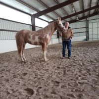 Hicks Tony R DVM ico