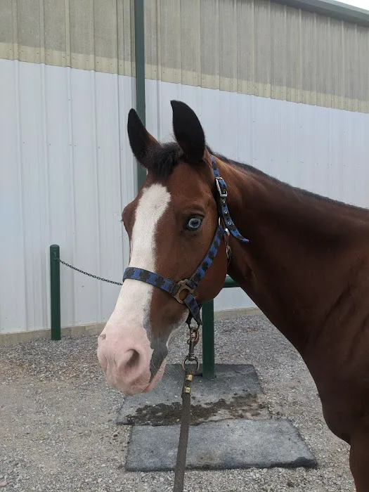 Hicks Tony R DVM Picture 2