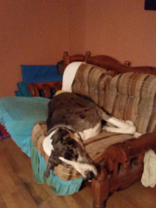 Hicks Tony R DVM Picture 5