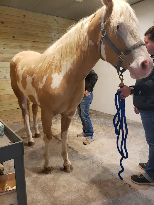 Hicks Tony R DVM Picture 3