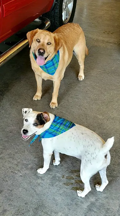 Hawthorne Animal Clinic Picture 8