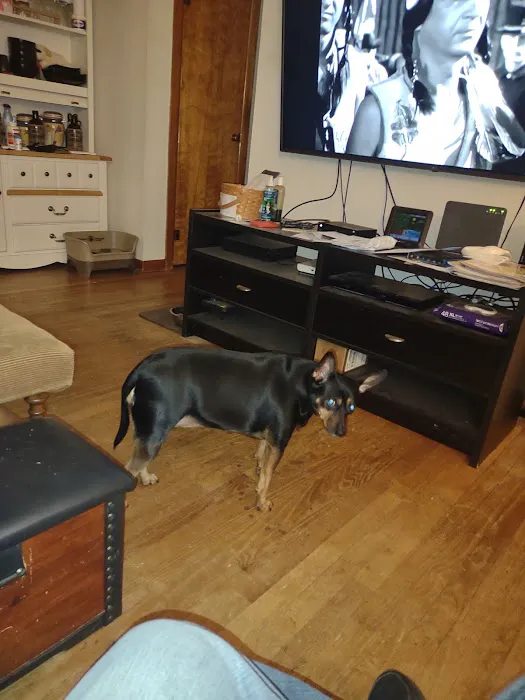 Hawthorne Animal Clinic Picture 6