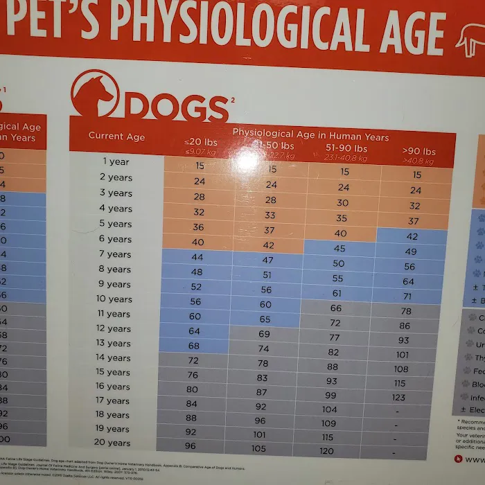 Hawthorne Animal Clinic Picture 10