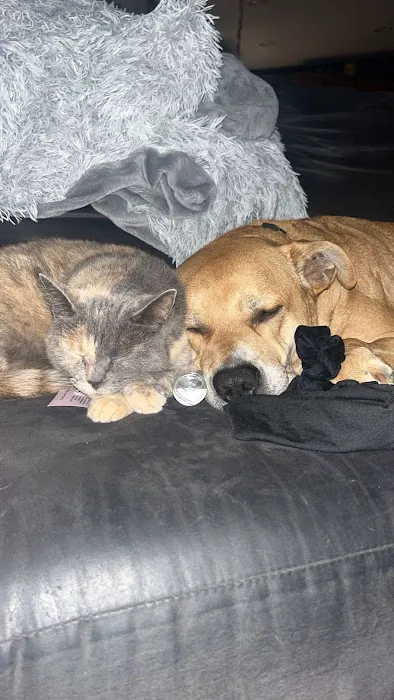 Jamie Alka Picture 1