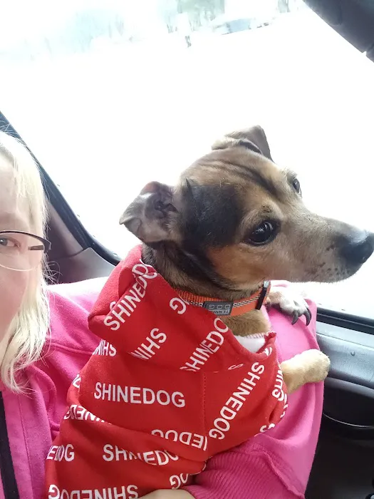 Henderson Animal Clinic Picture 9