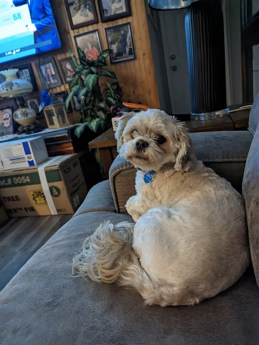 Henderson Animal Clinic Picture 3