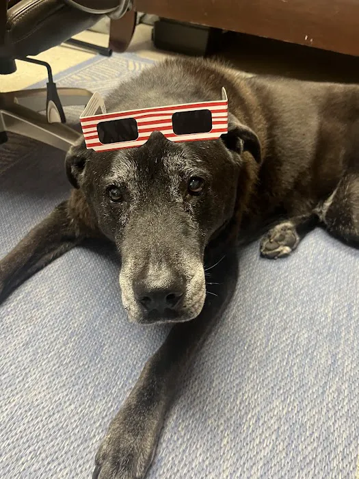 Southside Animal Hospital Picture 7