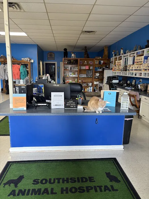Southside Animal Hospital Picture 9