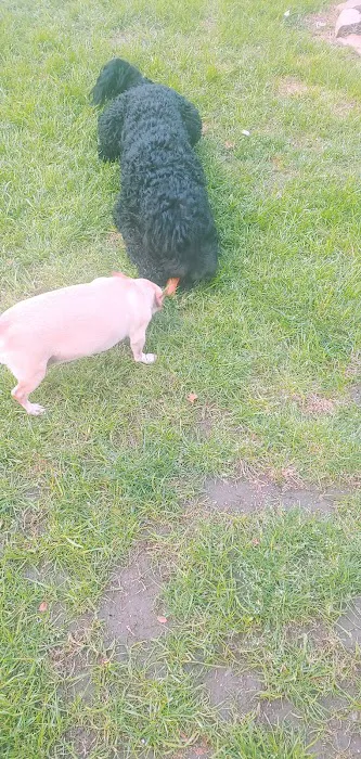 Animal Hospital Picture 1