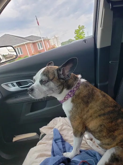 Animal Hospital Picture 3