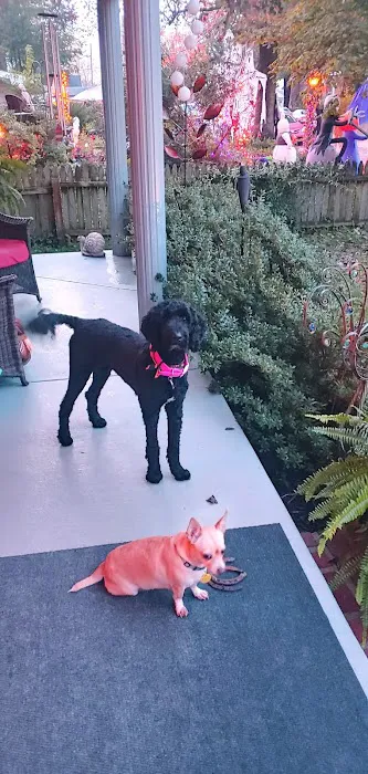 Animal Hospital Picture 2