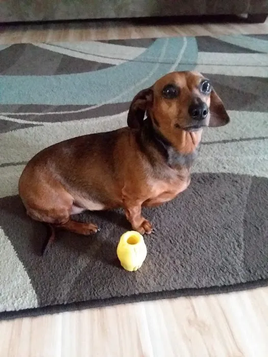 Animal Hospital Picture 9