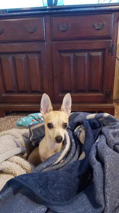 Dr. Joanna Stallings Picture 4