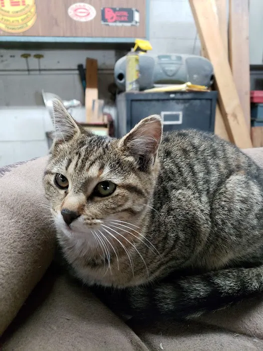 Dr. Joanna Stallings Picture 3