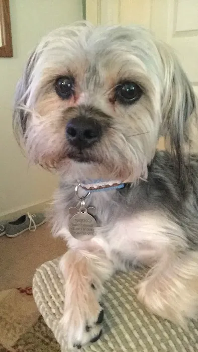 Dr. Joanna Stallings Picture 2