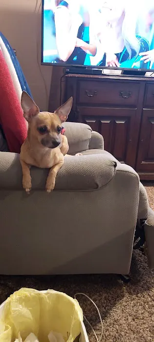 Dr. Joanna Stallings Picture 5