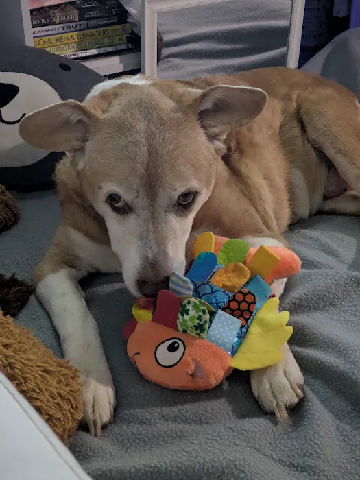 Pennyrile Animal Clinic Picture 2