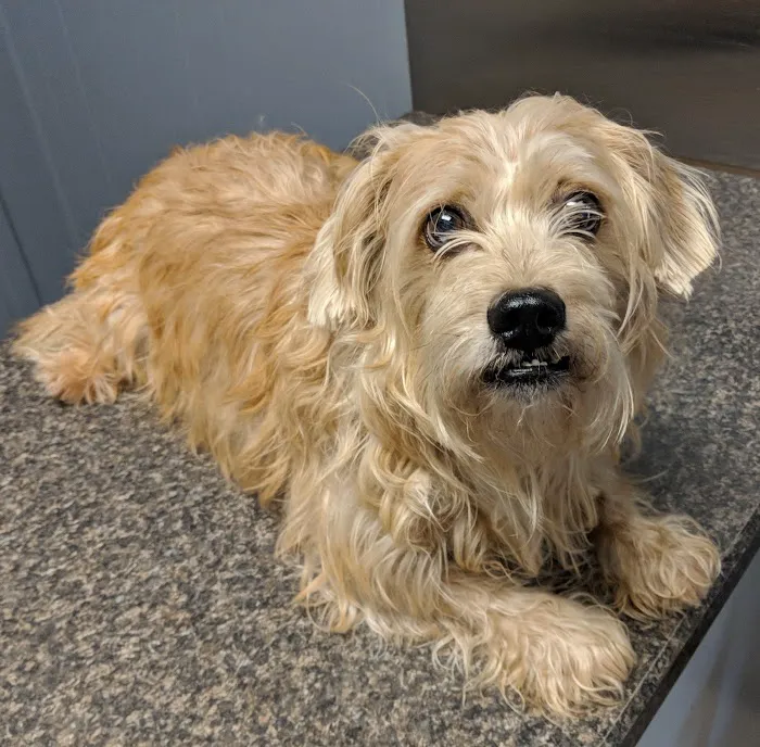 Pennyrile Animal Clinic Picture 8