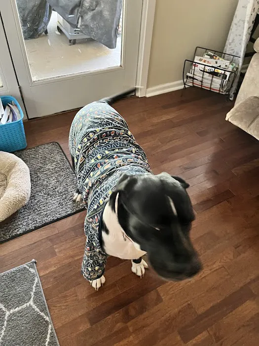 Pennyrile Animal Clinic Picture 9