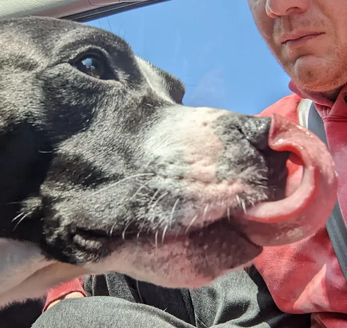 Animal Medical Center Picture 1