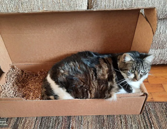 Animal Medical Center Picture 2