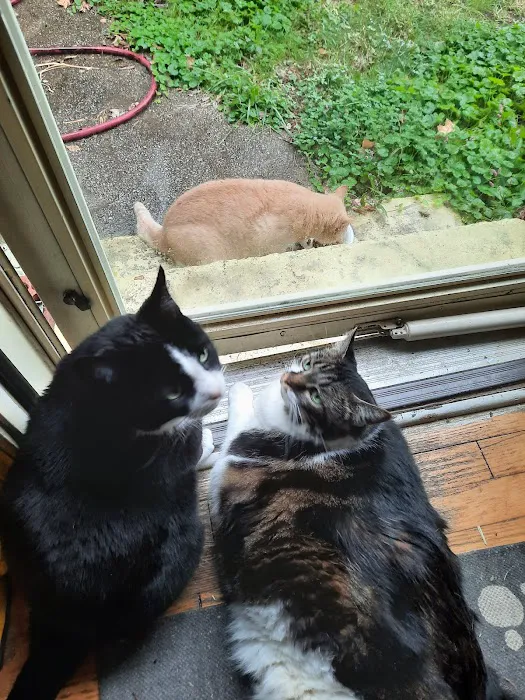 Animal Medical Center Picture 4