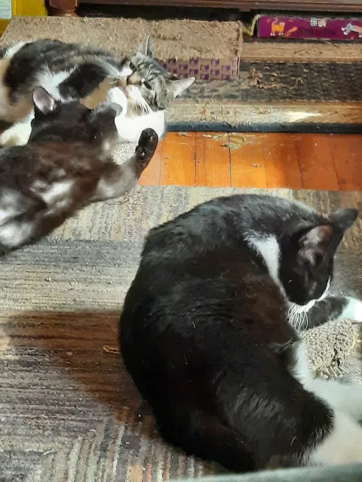 Animal Medical Center Picture 6