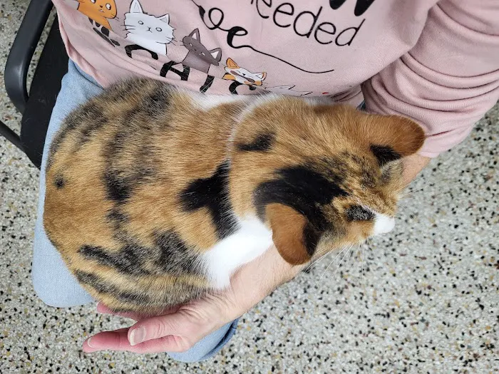 Animal Medical Center Picture 7