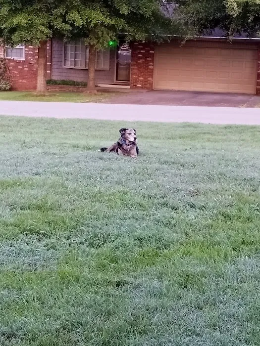 Tender Care Veterinary Clinic Picture 4