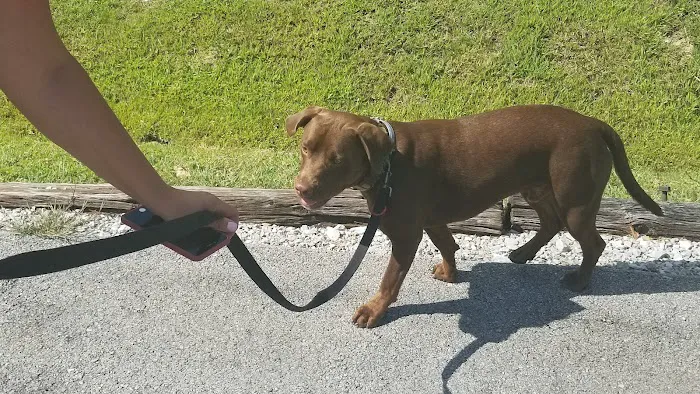 Tender Care Veterinary Clinic Picture 5