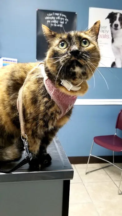 Tender Care Veterinary Clinic Picture 8