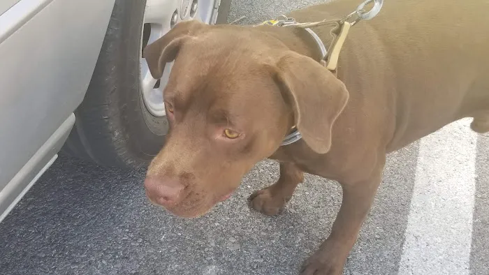 Tender Care Veterinary Clinic Picture 7