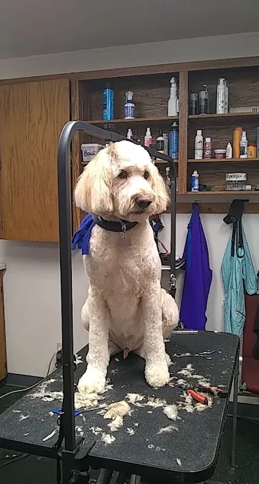 Veterinary Associates of Manning Picture 2