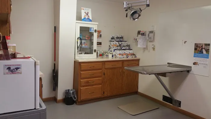 Veterinary Associates of Manning Picture 7