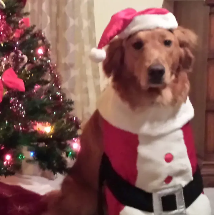 Valley Veterinary Center Picture 1