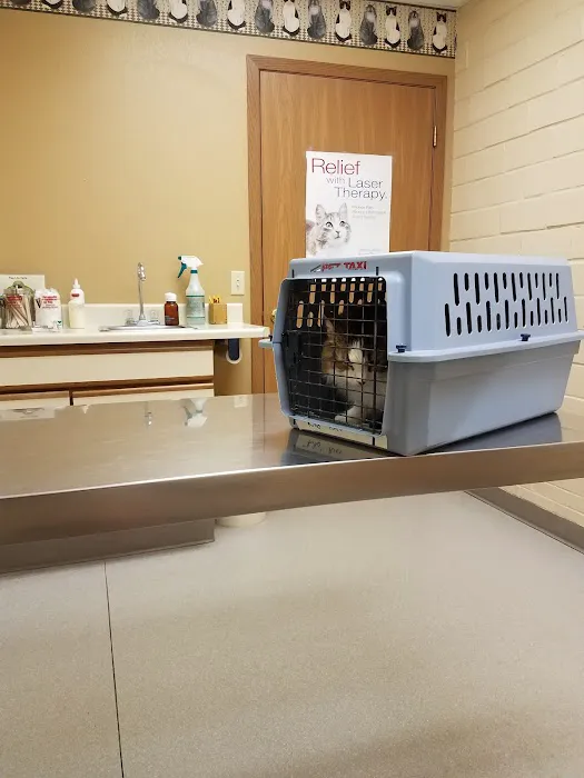Valley Veterinary Center Picture 3