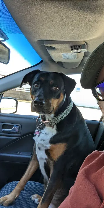 Valley Veterinary Center Picture 2