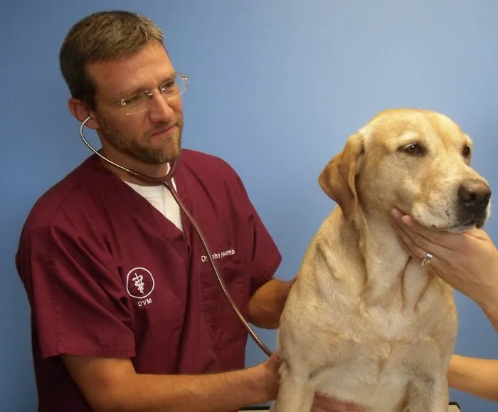 Cedar Creek Animal Clinic Picture 10