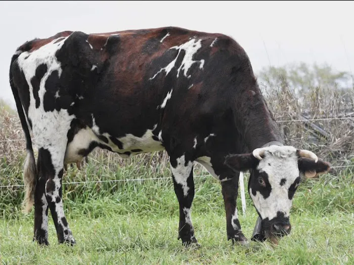 Winterset Veterinary Center Picture 1