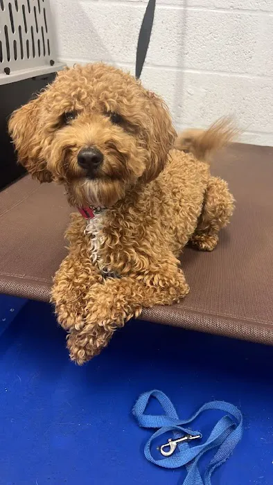 Winterset Veterinary Center Picture 2