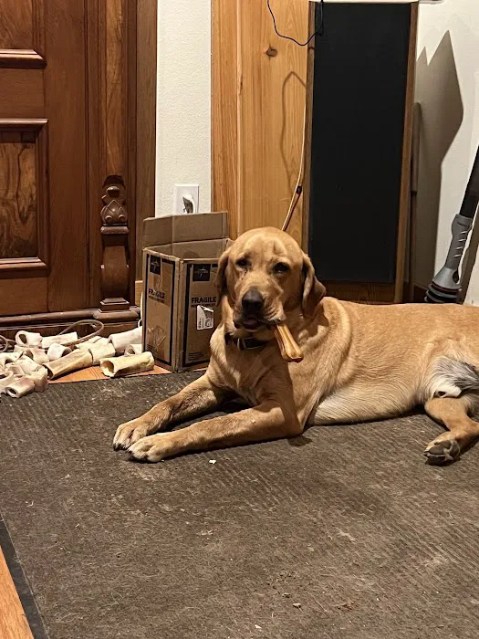 Winterset Veterinary Center Picture 4