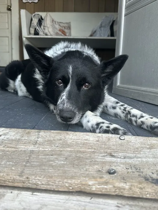 Winterset Veterinary Center Picture 6