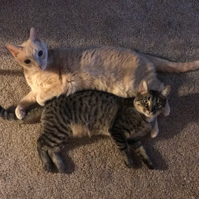 Winterset Veterinary Center Picture 8