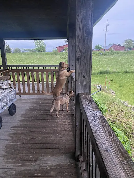 Winterset Veterinary Center Picture 5