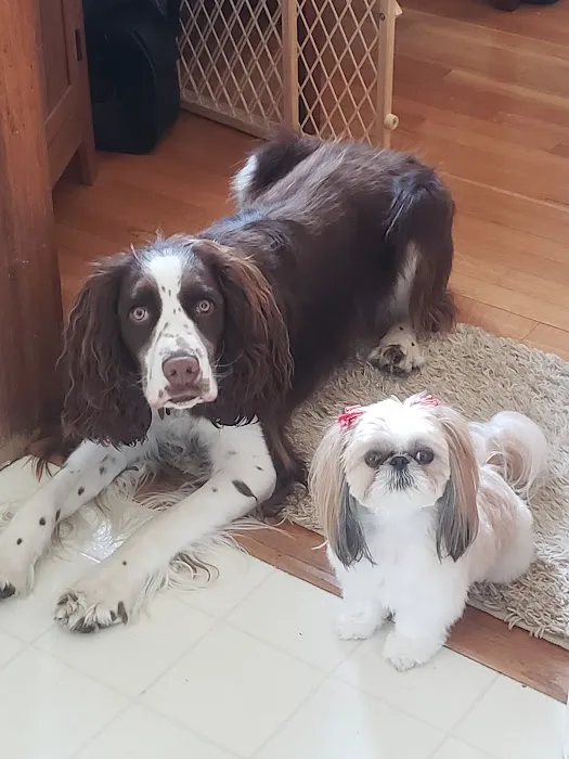 Winterset Veterinary Center Picture 9